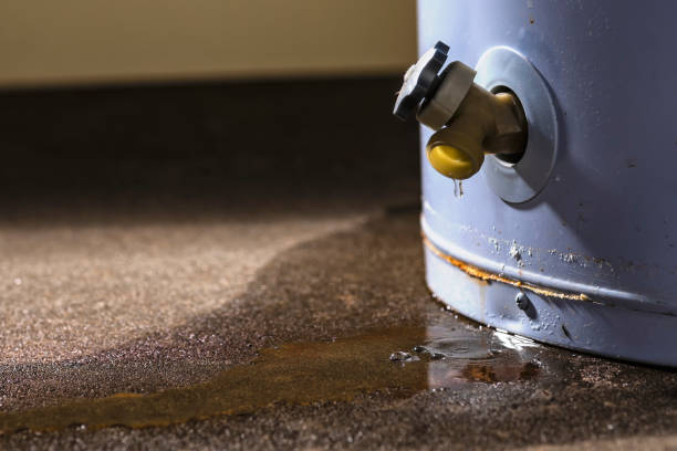 Best Water damage restoration services  in Mmaduke, AR