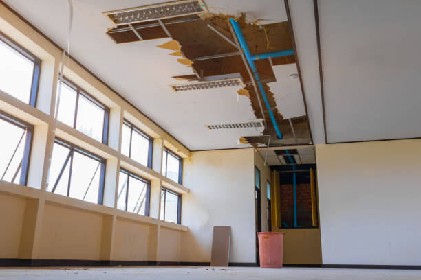 Best Fire Damage Restoration  in Mmaduke, AR