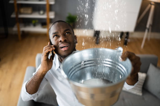 Best Flooded house restoration  in Mmaduke, AR