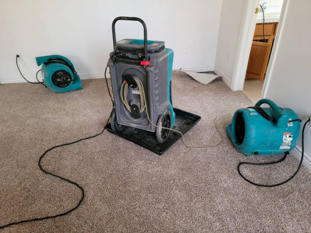 Best Professional water damage repair  in Mmaduke, AR
