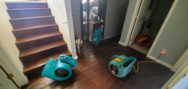 Best 24-hour water damage restoration  in Mmaduke, AR