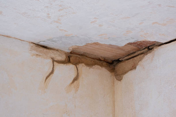Carpet water damage restoration in Marmaduke, AR