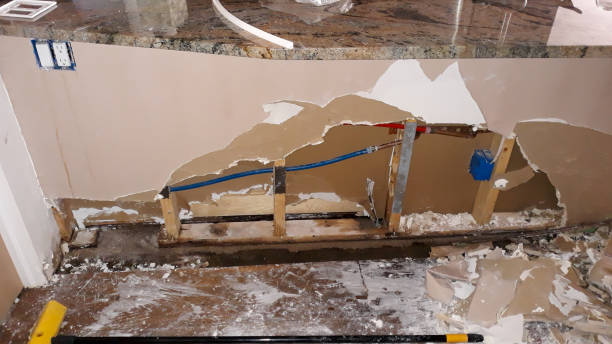 Best Mold removal after water damage  in Mmaduke, AR