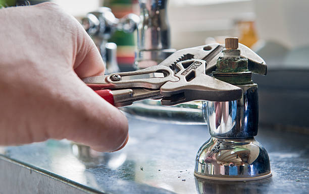 Best Water damage restoration specialists  in Mmaduke, AR