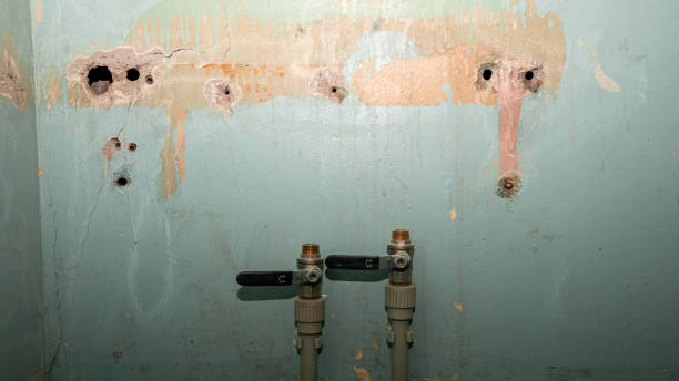 Best Water damage repair service  in Mmaduke, AR