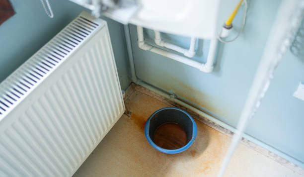 Best Water damage restoration near me  in Mmaduke, AR